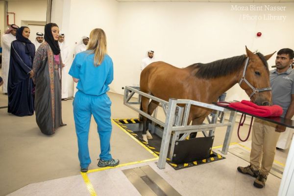 HH Sheikha Moza officially opens Equine Veterinary Medical Center 